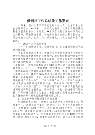 2024年供销社工作总结及工作要点