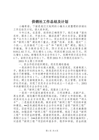 2024年供销社工作总结及计划