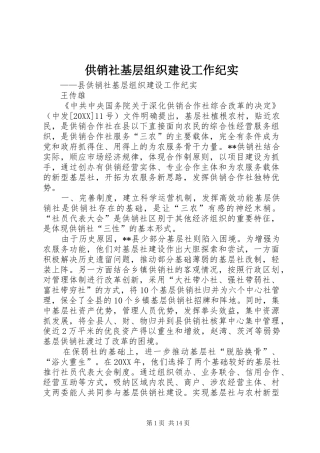 2024年供销社基层组织建设工作纪实