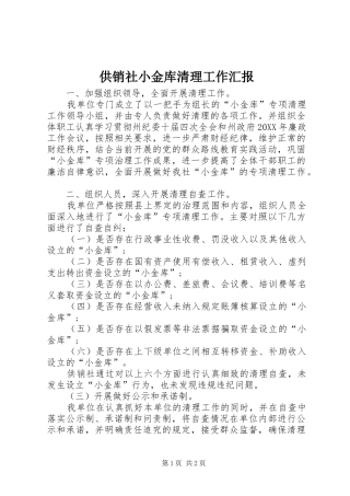 2024年供销社小金库清理工作汇报