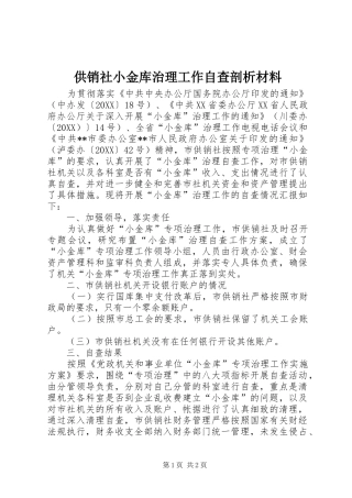 2024年供销社小金库治理工作自查剖析材料