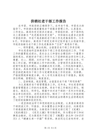 2024年供销社老干部工作报告