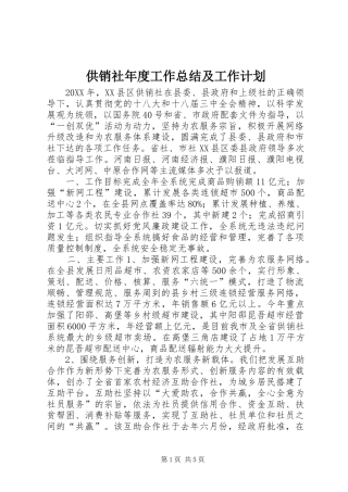 2024年供销社年度工作总结及工作计划
