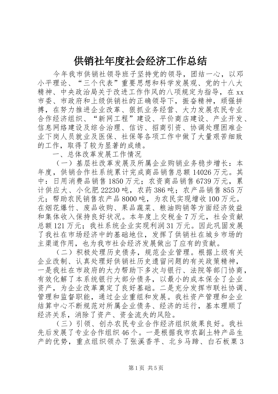 2024年供销社年度社会经济工作总结_第1页