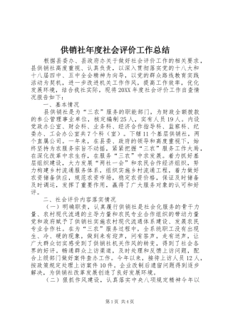 2024年供销社年度社会评价工作总结