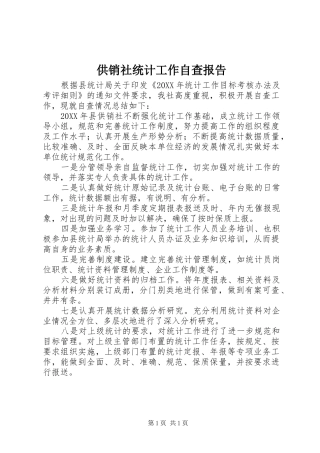 2024年供销社统计工作自查报告