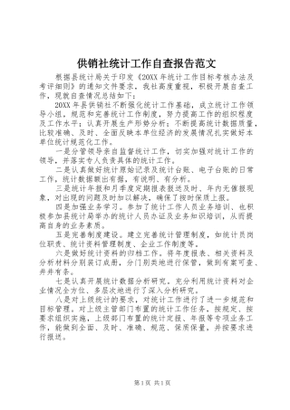 2024年供销社统计工作自查报告范文