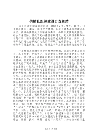 2024年供销社组织建设自查总结