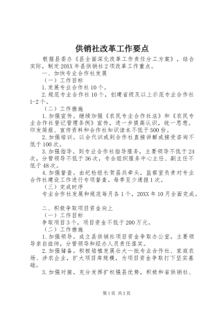 2024年供销社改革工作要点