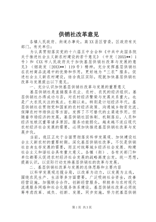 2024年供销社改革意见