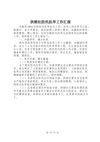 2024年供销社防汛抗旱工作汇报