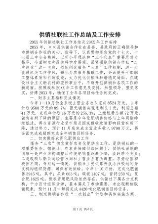 2024年供销社联社工作总结及工作安排