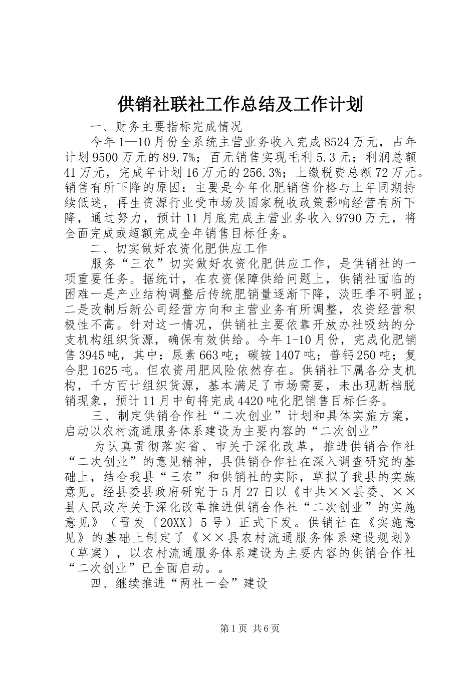 2024年供销社联社工作总结及工作计划_第1页