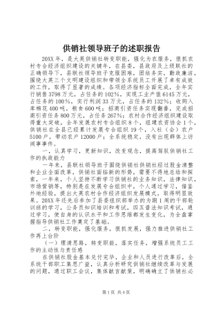 2024年供销社领导班子的述职报告