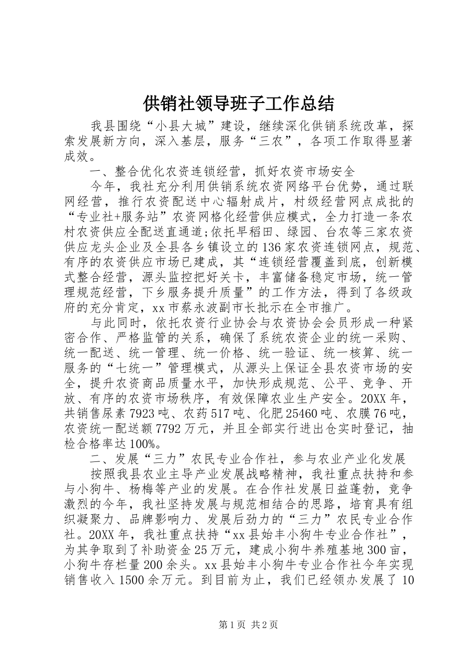 2024年供销社领导班子工作总结_第1页