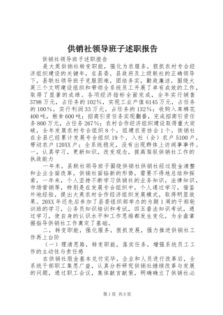 2024年供销社领导班子述职报告