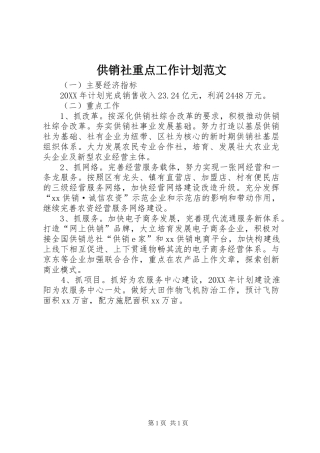 2024年供销社重点工作计划范文
