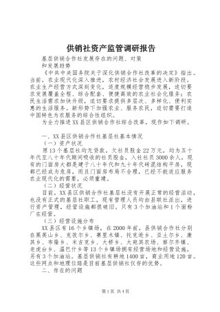 2024年供销社资产监管调研报告