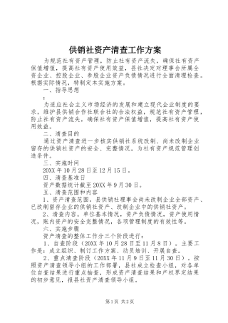 2024年供销社资产清查工作方案