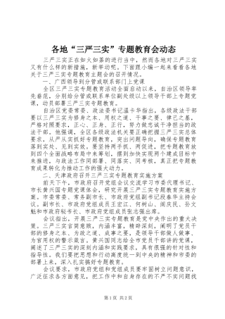 2024年各地三严三实专题教育会动态
