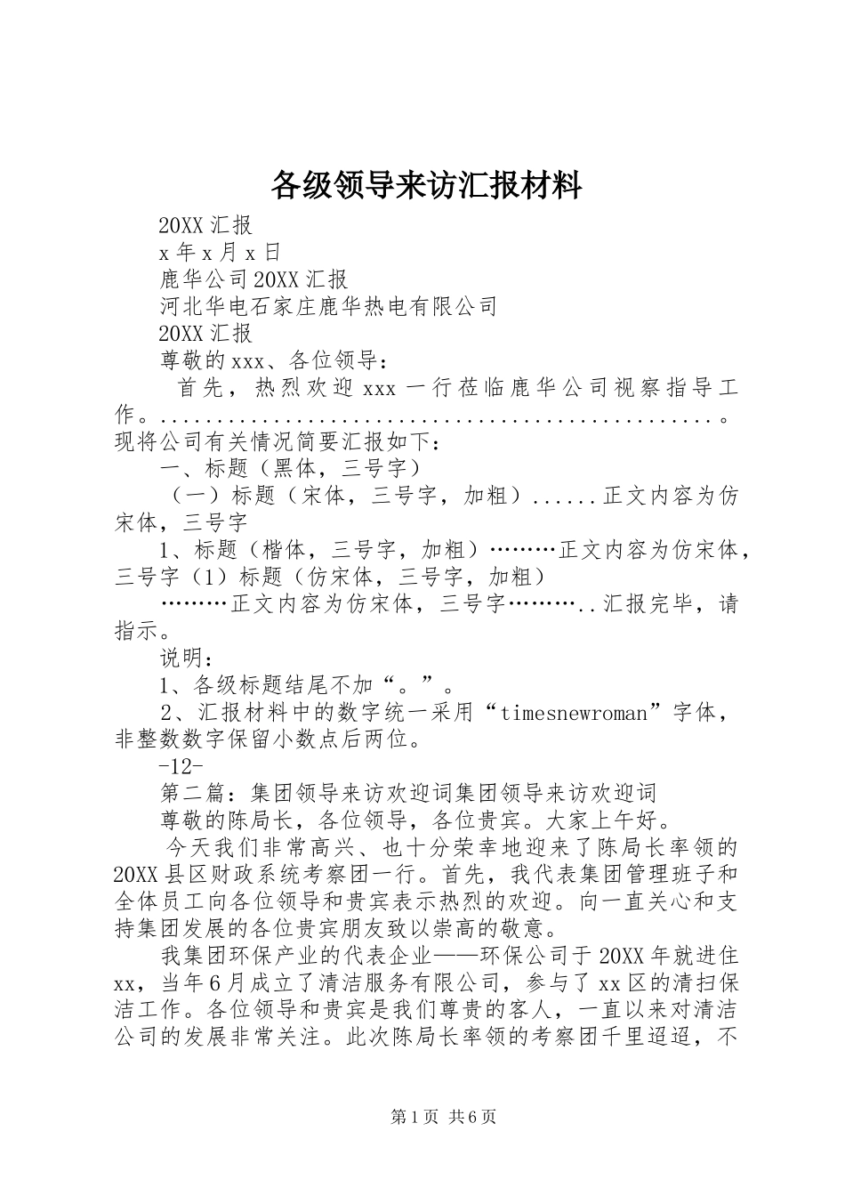 2024年各级领导来访汇报材料_第1页