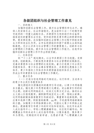 2024年各级团组织与社会管理工作意见