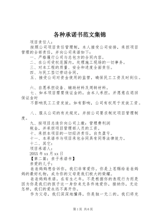 2024年各种承诺书范文集锦