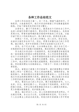 2024年各种工作总结范文