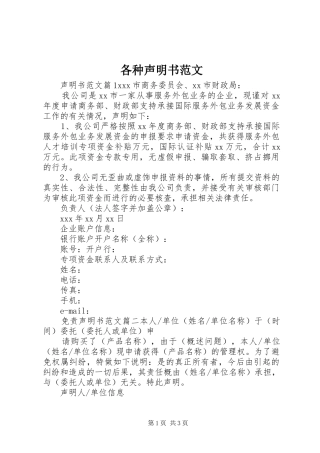 2024年各种声明书范文