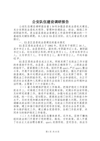2024年公安队伍建设调研报告