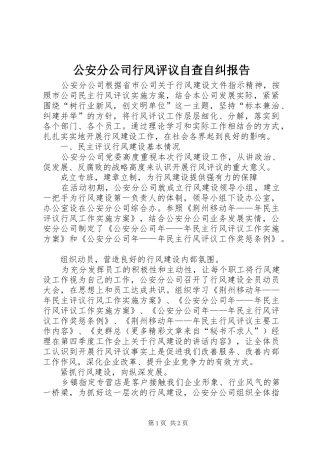 2024年公安分公司行风评议自查自纠报告