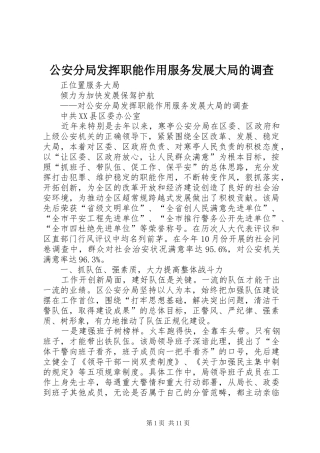 2024年公安分局发挥职能作用服务发展大局的调查