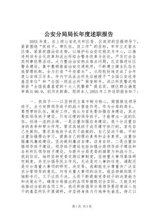 2024年公安分局局长年度述职报告