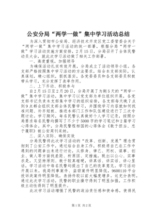 2024年公安分局两学一做集中学习活动总结