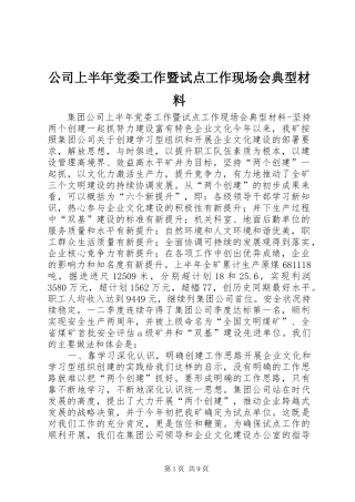 2024年公司上半年党委工作暨试点工作现场会典型材料