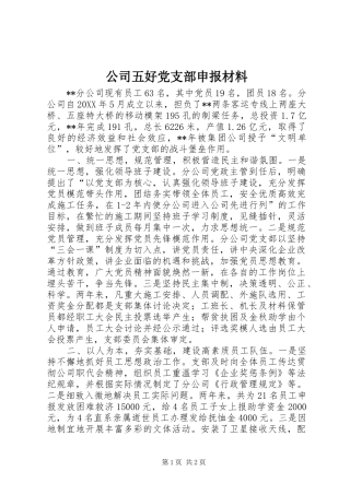 2024年公司五好党支部申报材料