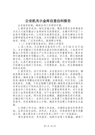 2024年公安机关小金库自查自纠报告