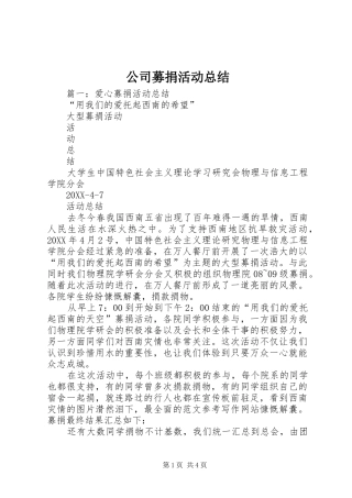 2024年公司募捐活动总结