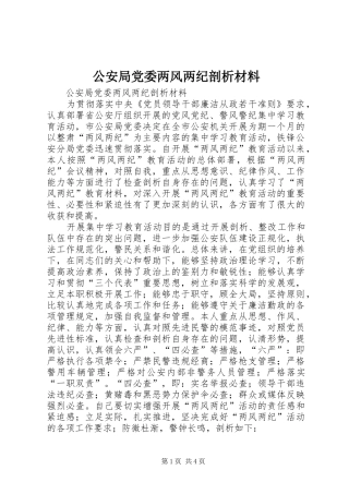 2024年公安局党委两风两纪剖析材料