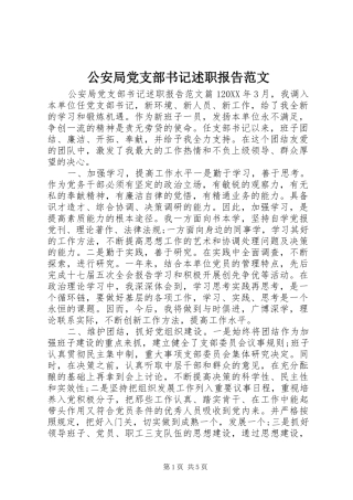 2024年公安局党支部书记述职报告范文