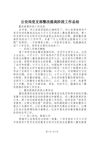 2024年公安局党支部整改提高阶段工作总结