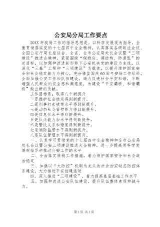 2024年公安局分局工作要点