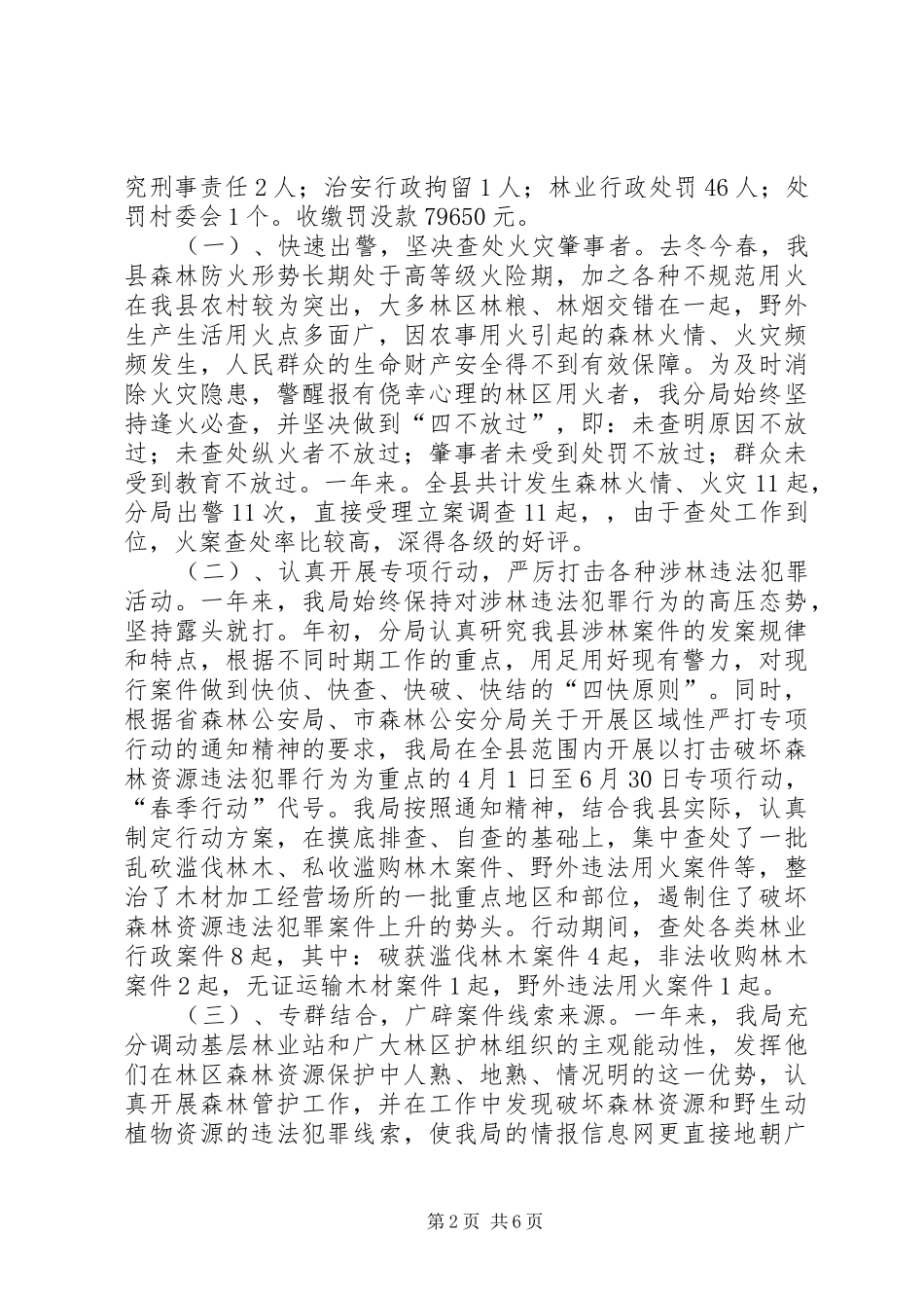 2024年公安局分局工作总结_第2页