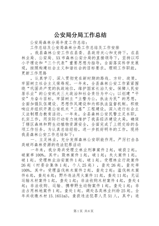 2024年公安局分局工作总结