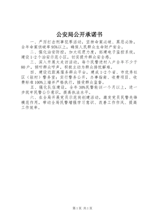 2024年公安局公开承诺书