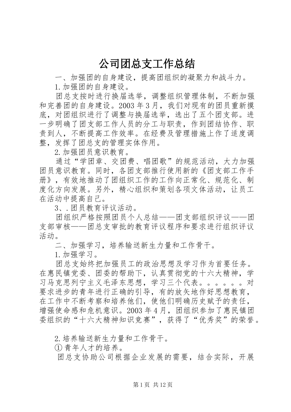 2024年公司团总支工作总结_第1页