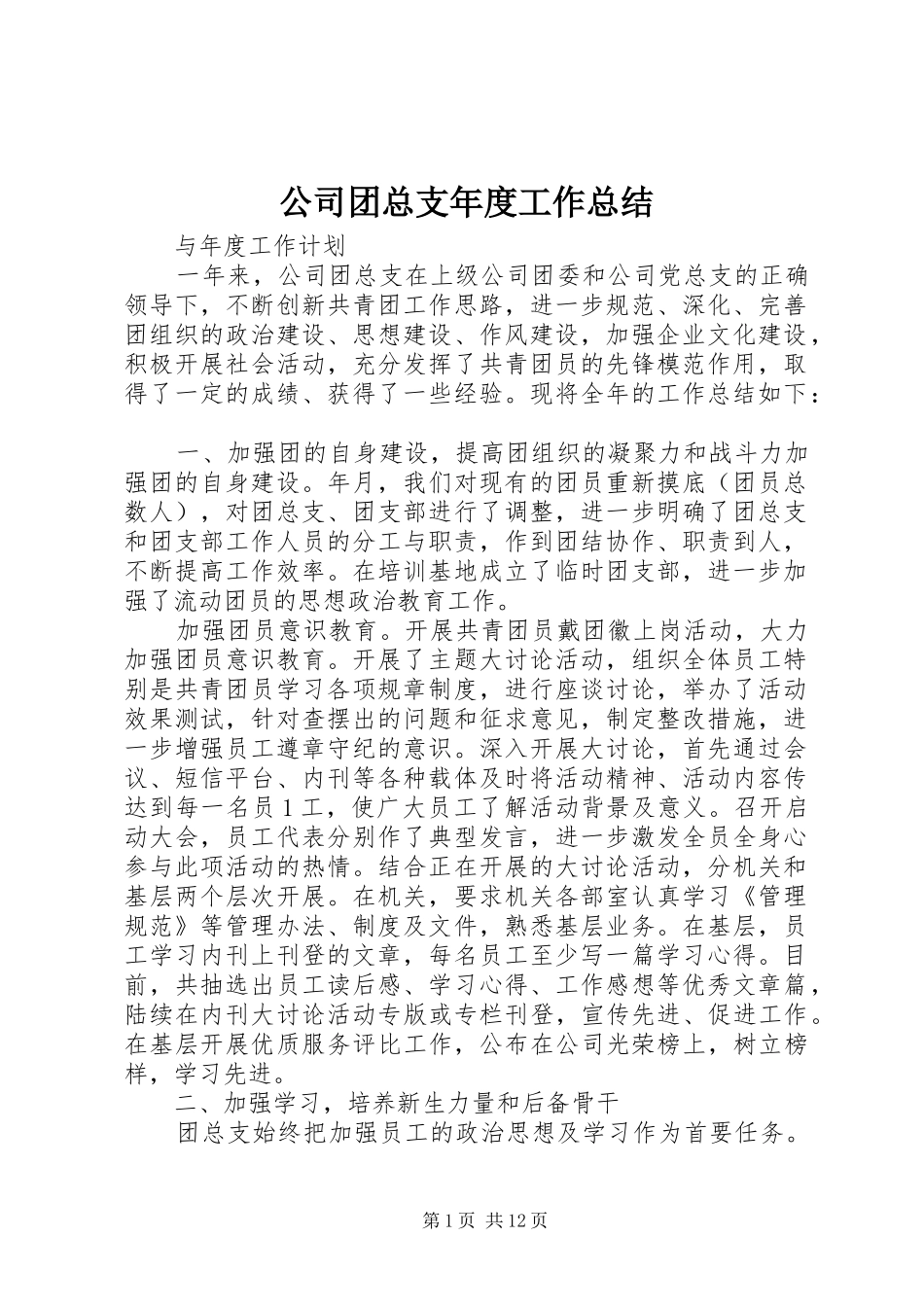 2024年公司团总支年度工作总结_第1页