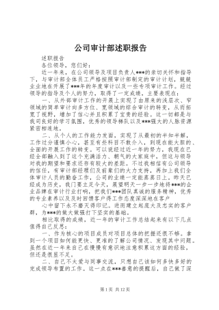 2024年公司审计部述职报告
