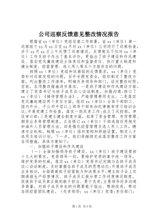 2024年公司巡察反馈意见整改情况报告