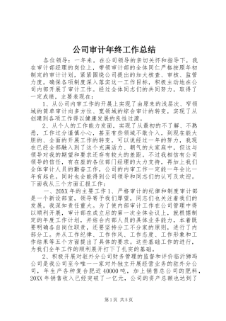 2024年公司审计年终工作总结